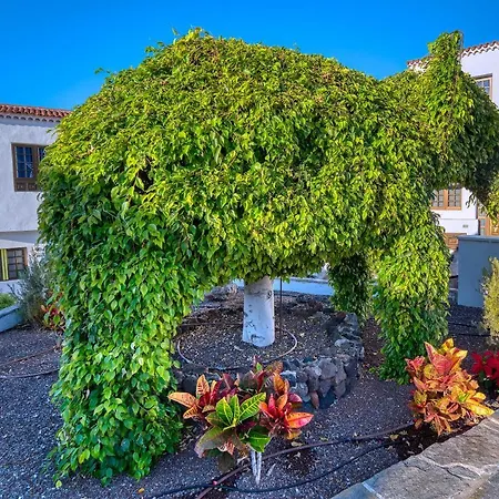 Ona Rosas 4* Puerto de Santiago